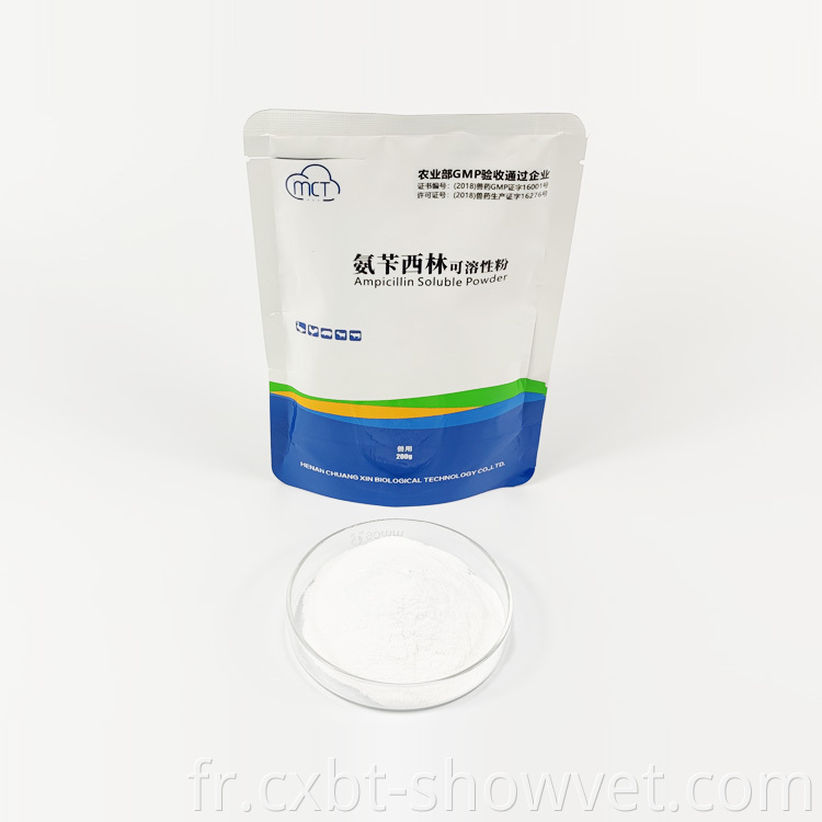 Ampicillin Soluble Powder